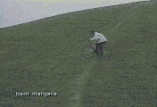 jackass